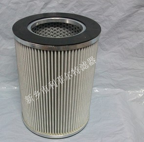 V2.1260-03 Replacement for ARGO filter element