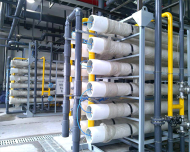 A reverse osmosis membrane element for a dairy industry
