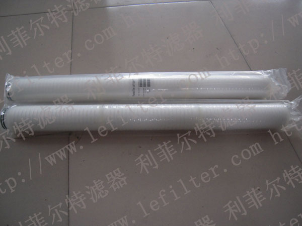 Pleated Water filter cartridge—PTFE