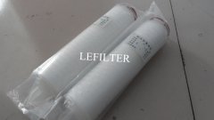 Micropore Polypropylene (PP ) Pleated Water Filter